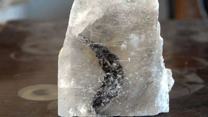 Kaya tuzundan bitki fosili çıktı