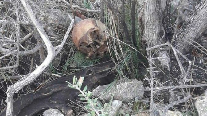 Mersin&#039;de bir çalılıkta insana ait kemikler bulundu