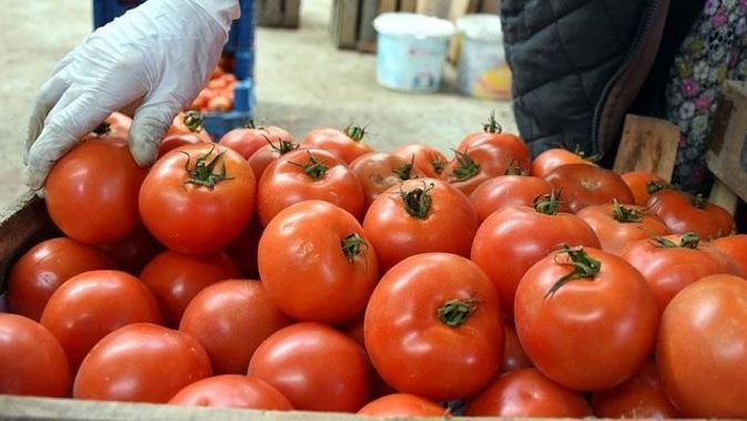 Rusya 5 Türk şirketinden daha domates alacak