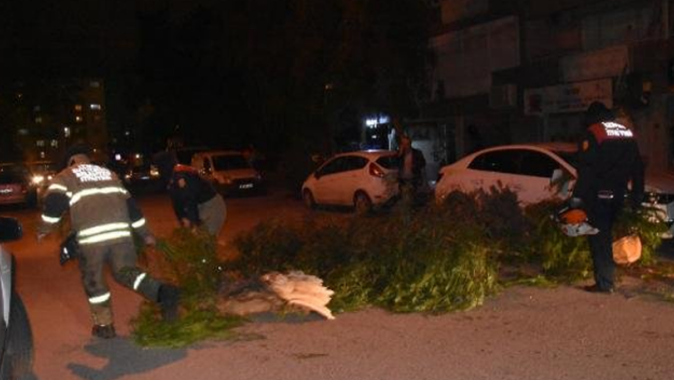 Şiddetli rüzgar İzmir&#039;de ağaçları devirdi