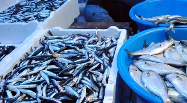 Tezgahlarda balık fiyatları düşmüyor