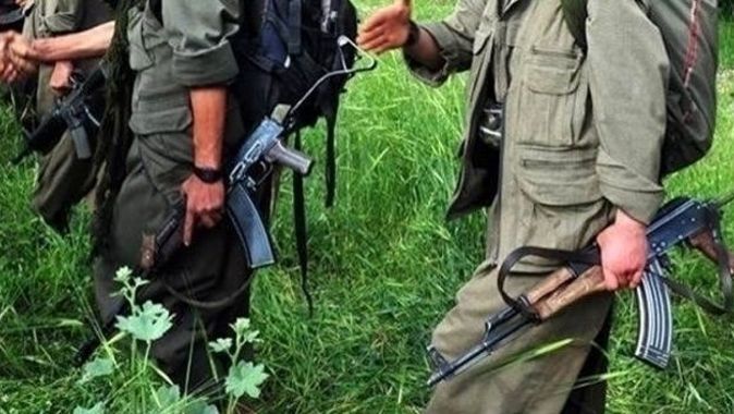 Diyarbakır’da bir eve düzenlenen operasyonda 1 terörist yakalandı