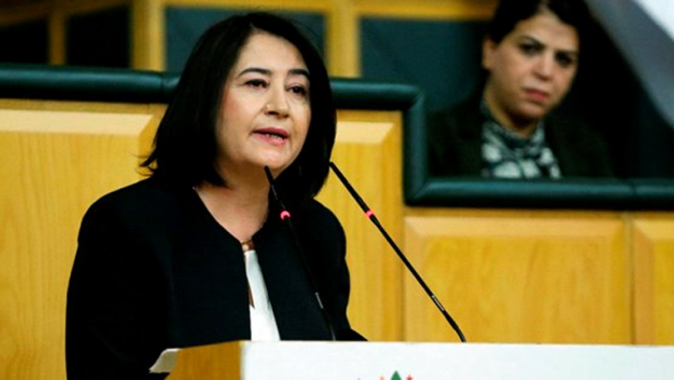 HDP Eş Genel Başkanı Serpil Kemalbay hakkında gözaltı kararı ​