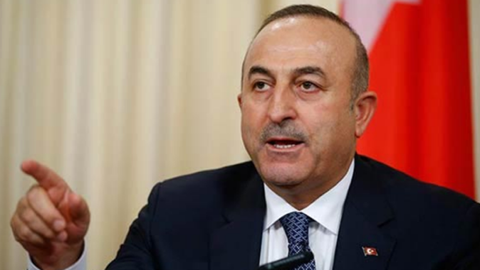 Bakan Çavuşoğlu: Zeytin Dalı Harekâtı mayıs ayına kadar biter