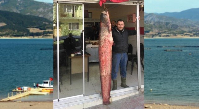 Baraj gölünde 2,10 metre uzunluğunda yayın balığı yakalandı