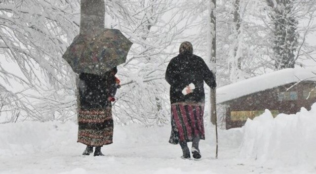 Doğu Anadolu&#039;da kar yağışı sürüyor