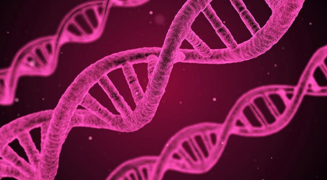 Kanser tedavisinde DNA nanorobotları devrede
