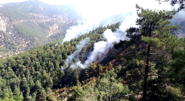 Teröristler Amanos&#039;ta ormanı yaktı!