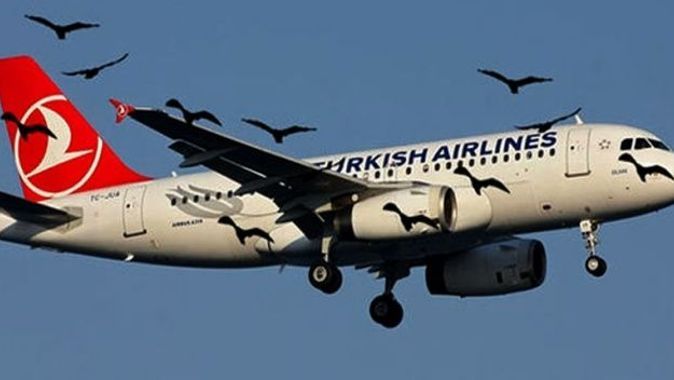 Atatürk Havalimanı&#039;nda leylek alarmı! Uçaklar pisti pas geçti...