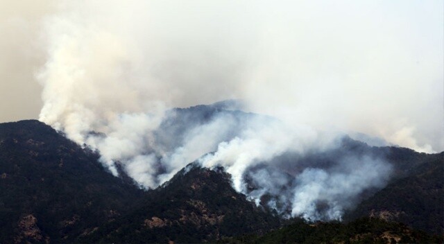 Hatay&#039;daki orman yangını 3 gündür södürülemiyor