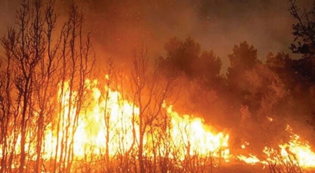 Muğla&#039;da korkutan orman yangını