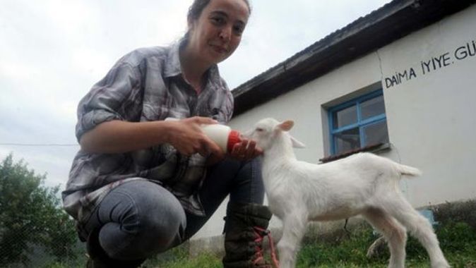 Nişantaşı kızıydı, şimdilerde köyde keçi güdüyor