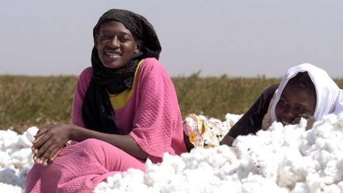 Sudan’da pamuk  ve soya ekeceğiz