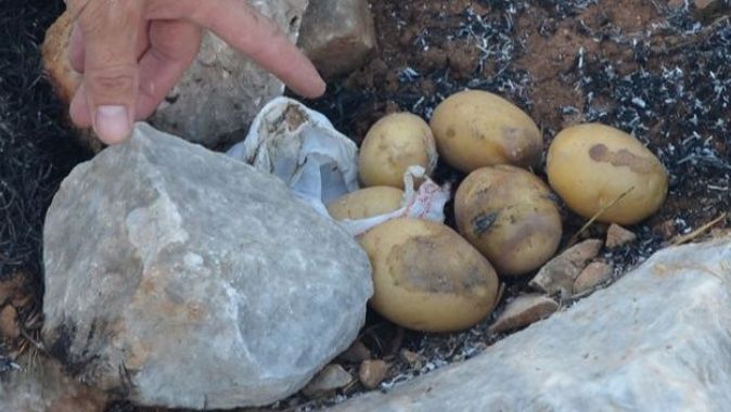 Patates pişirmek isteyen gençler dağı yaktı