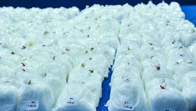 Çin ve 5 ülkeden 17,6 tonluk uyuşturucu operasyonu