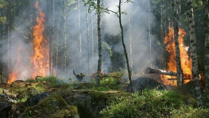 İsveç&#039;ten Türkiye&#039;ye yangın söndürme desteği için teşekkür