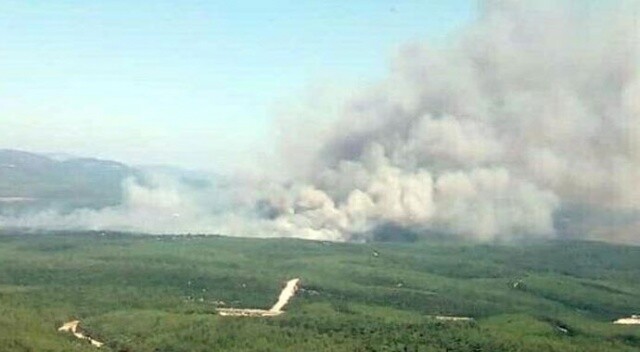 İzmir Buca&#039;da orman yangını