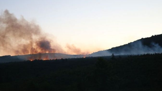 Kartal Aydos Ormanı&#039;nda yangın