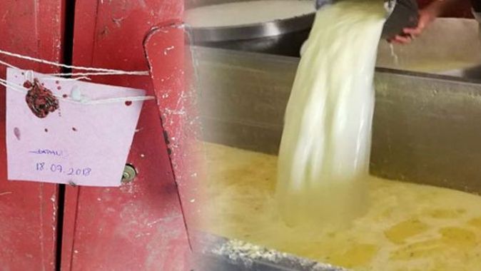 Kaşar peyniri imalathanesinde iğrenç görüntü