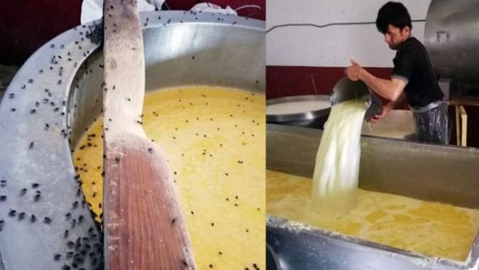 Kaşar peyniri imalathanesine baskın