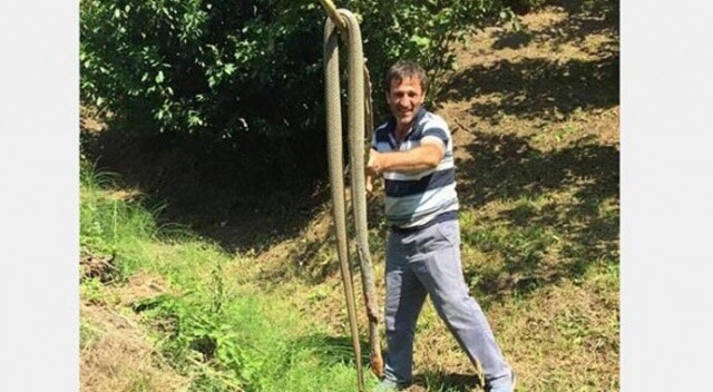 3 metrelik yılanı öldürüp sosyal medyadan paylaştılar