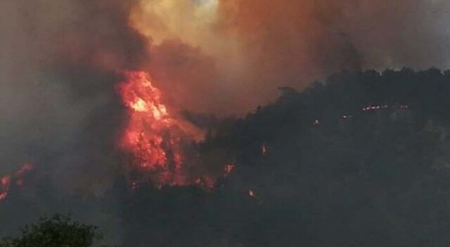 Kastamonu&#039;da orman yangını! Köyleri tehdit ediyor