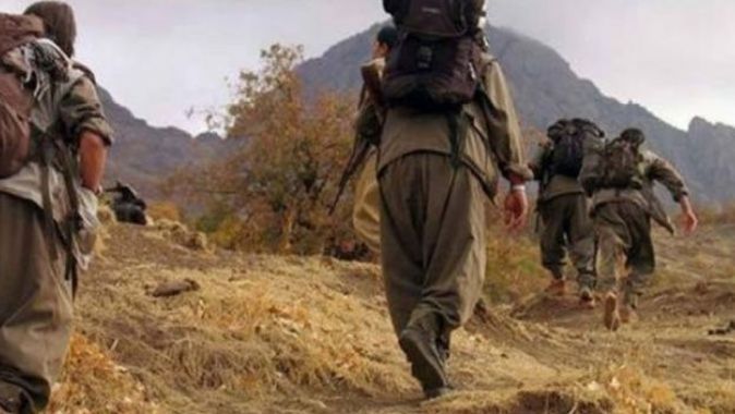 Van’da 1&#039;i ölü, 2 PKK’lı terörist ele geçirildi