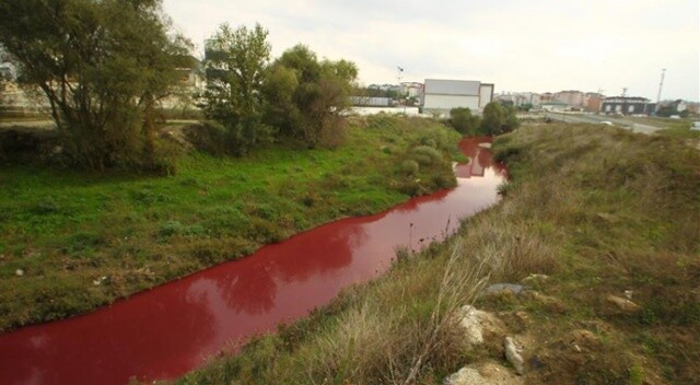 Ergene Nehri&#039;ni kirleten işletmenin faaliyeti durduruldu