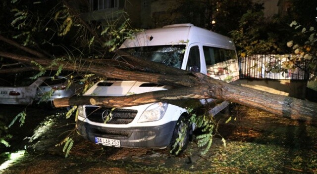Şiddetli fırtına nedeniyle ağaç minibüsün üzerine devrildi