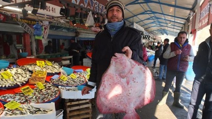 Balıkların paşası 750 liraya alıcı buldu