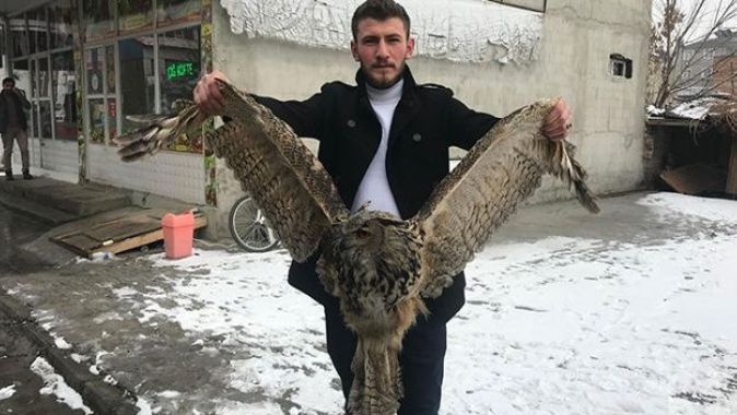 Erzurum’da yaralı baykuş için vatandaş seferber oldu