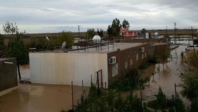 Kızıltepe’de sel fıstık fidelerine zarar verdi