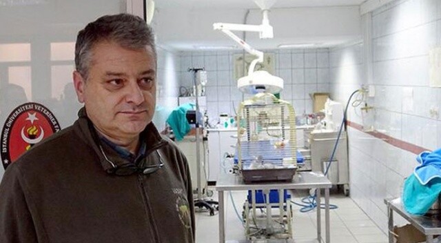 Murat Özdemir&#039;in işkence ettiği papağan ameliyat edildi