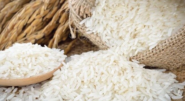 Pirinç hücre yeniliyor