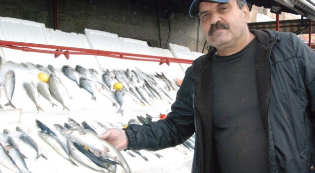 Soğuk ve yağışlı hava balık satışlarını artırdı