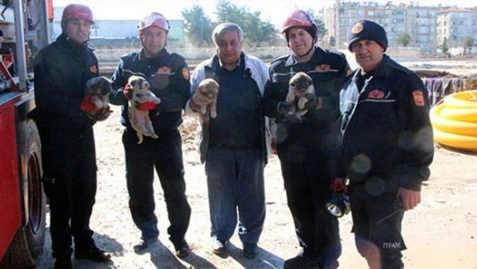 Gaziantepte yavru köpekleri kurtarma operasyonu