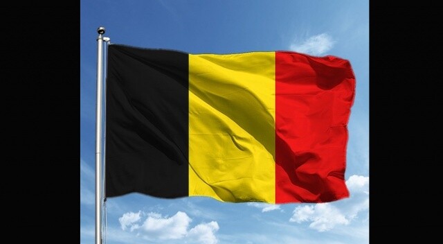 Belçika’da 80 aktiviste gözaltı