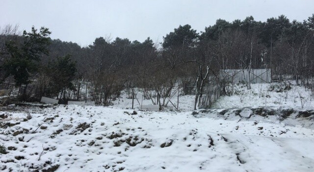 Beykoz’un yüksek kesimlerinde kar yağışı devam ediyor