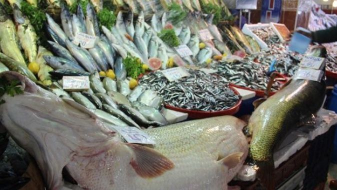 Malatya Balık Pazarı&#039;ında Dev Kurşun Balığı