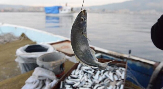 Su ürünlerinde yasa dışı avcılığa 18 milyon ceza