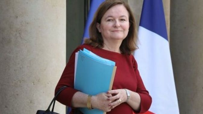 Fransız bakan AP seçimlerine aday