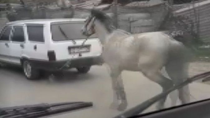 Vicdansız sürücü atını aracının arkasına bağlayıp ana yolda koşturdu