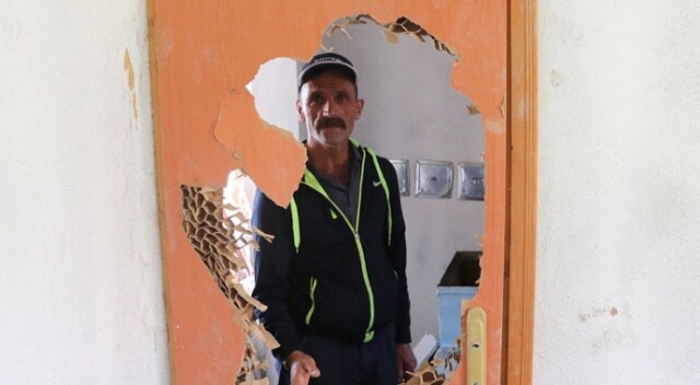 Erzurum&#039;da bal arayan ayılar evlere zarar verdi