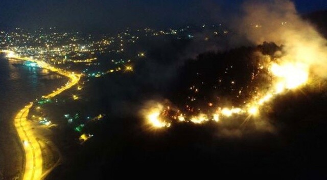 Giresun&#039;da orman yangınının nedeni ortaya çıktı