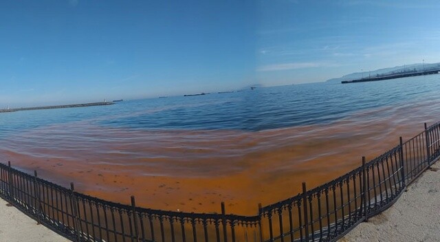 Marmara Denizi&#039;nde şaşırtan görüntü! Sahil şeridi turuncuya büründü