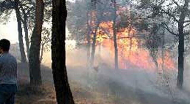 Ümraniye Tepeüstü&#039;nde korkutan orman yangını