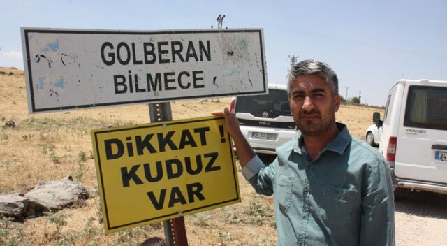 Diyarbakır’da kuduz alarmı