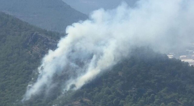 Mersin&#039;de orman yangını