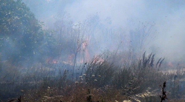 Silivri&#039;de çıkan yangın paniğe neden oldu