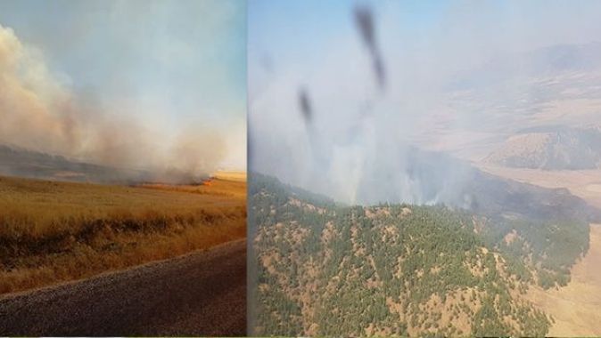 Gaziantep&#039;te orman yangını
